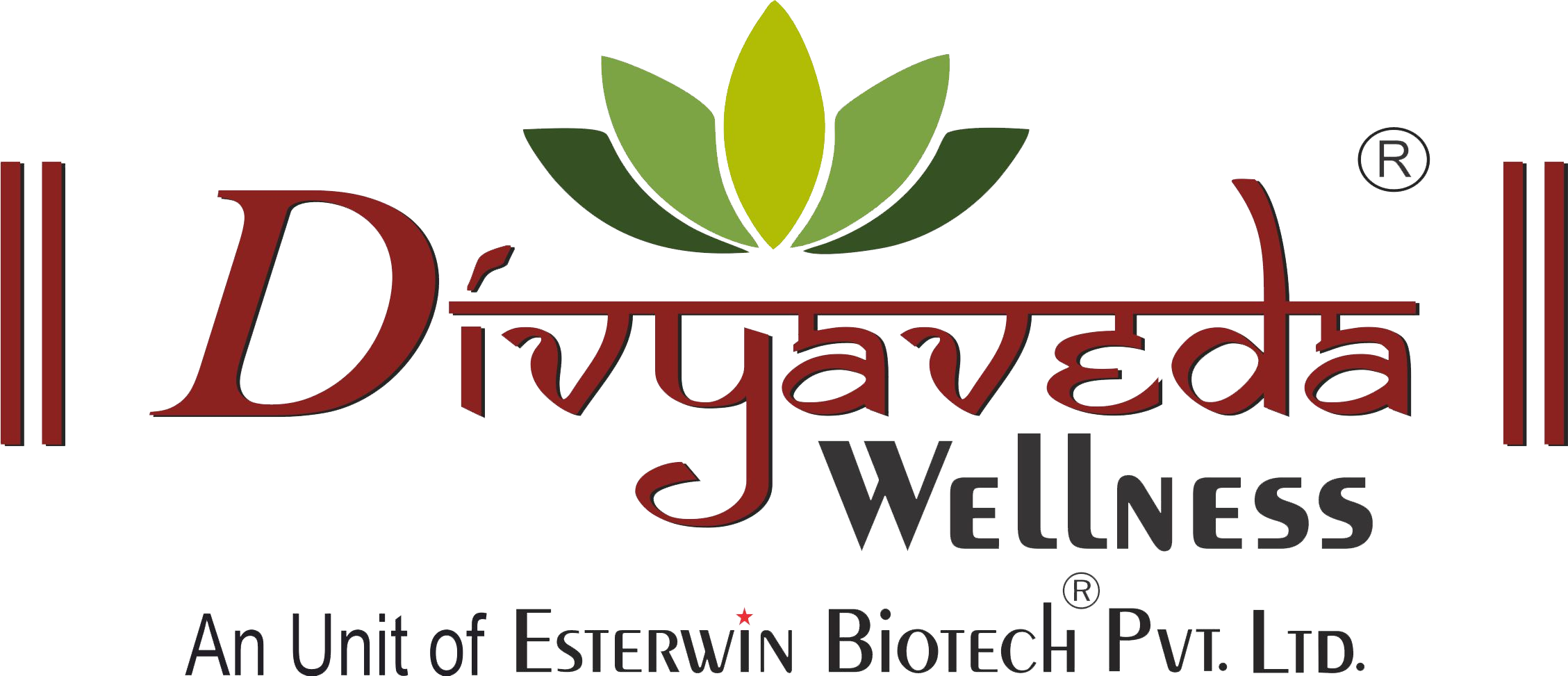 Divyaveda Logo